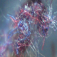 Illustration for article titled A New Explanation for Morgellons, the Disease that Makes Wires Grow Out of Your Skin